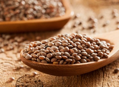 فروش عدس ریز محلی + قیمت خرید به صرفه